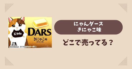 にゃんダース きにゃこ味はどこで売ってる？コンビニ販売店まとめ！通販でも？