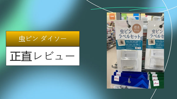 【実録】ダイソーの虫ピンは賃貸の救世主！壁の穴が消える？セリア比較と15の活用アイデアを徹底レビュー