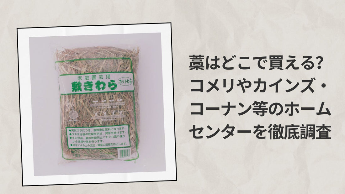 藁はどこで買える